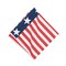 Stars and Stripes 4th of July Patriotic Cotton Reversible Napkin, Set of 6